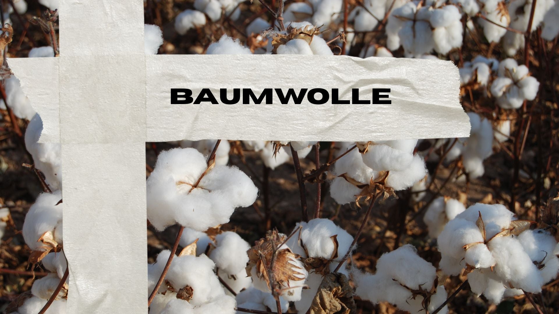 Baumwolle